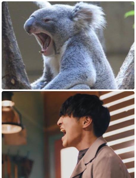 Official髭男dismが好きな人集まれ〜！