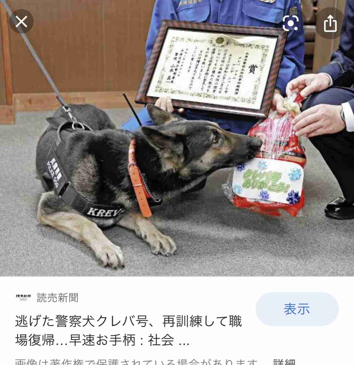 部下の子を犬呼ばわり、警官処分　あの警察犬とばっちり