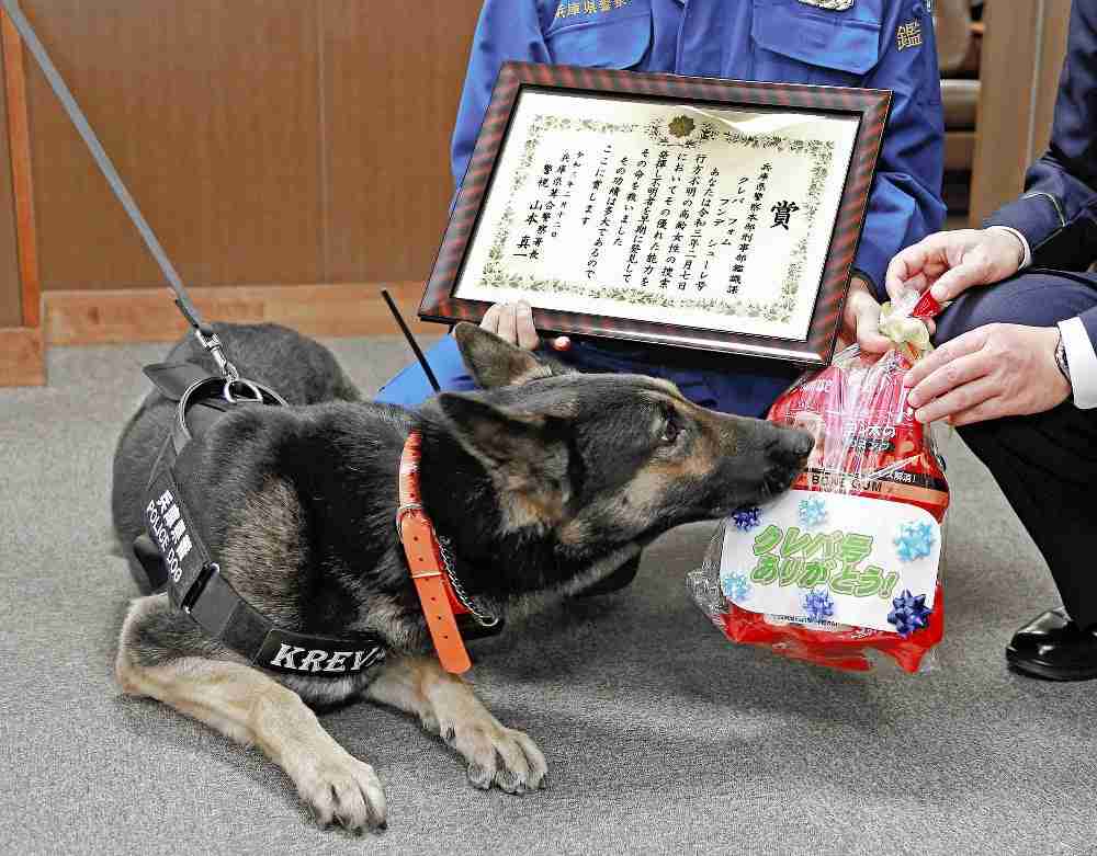 部下の子を犬呼ばわり、警官処分　あの警察犬とばっちり
