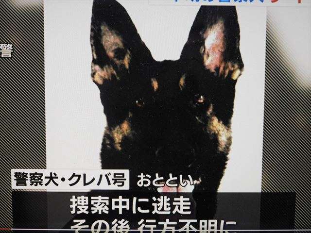 部下の子を犬呼ばわり、警官処分　あの警察犬とばっちり