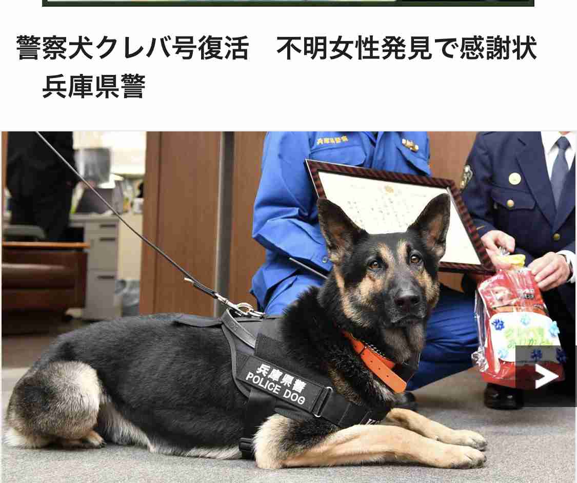 部下の子を犬呼ばわり、警官処分　あの警察犬とばっちり