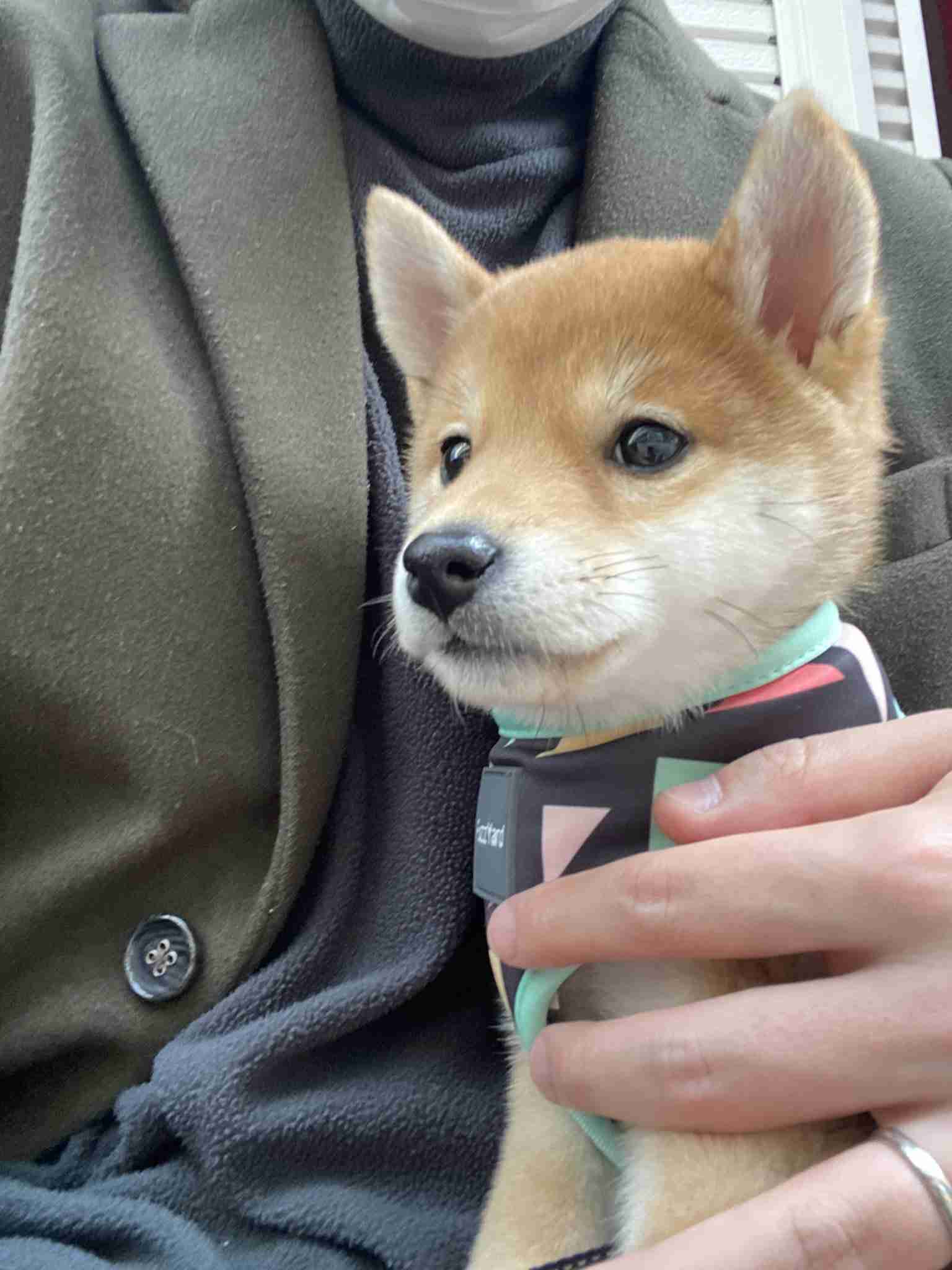 お金のつかいかた