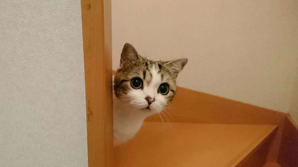 コロナ禍のGW使った金額は？？？