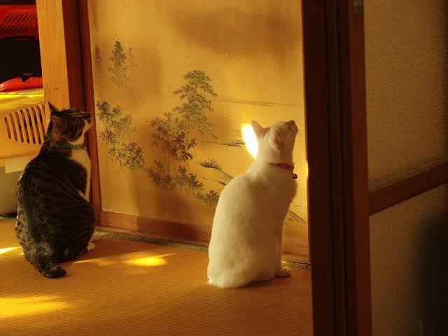 自分が体験した怖い話！