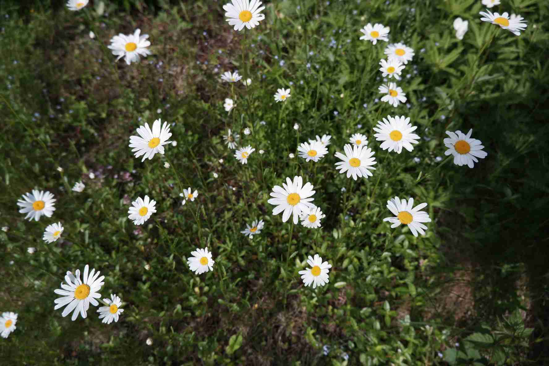 【5月】意識低い系トピ