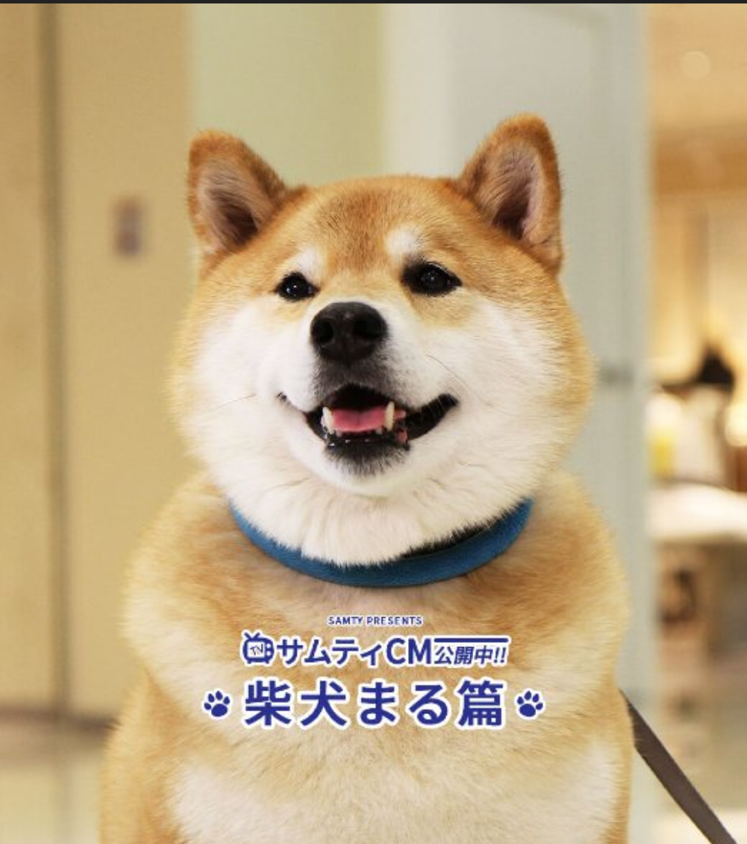ついつい見入ってしまうCM