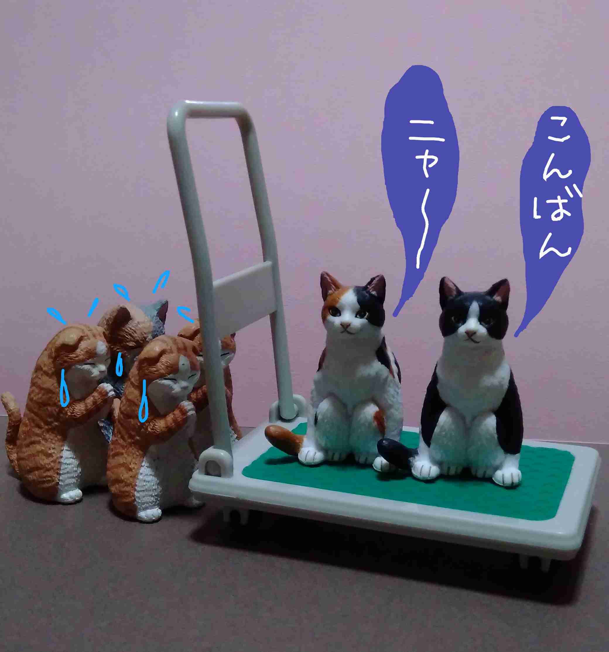 がるちゃん猫カフェ63号店 開店しました♪(初めての方も大歓迎!!)