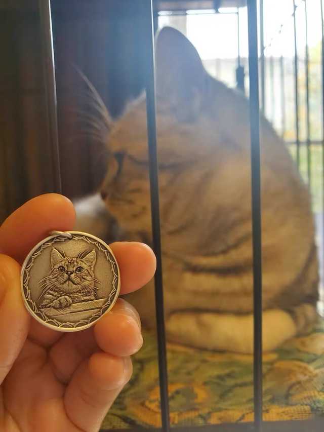 がるちゃん猫カフェ63号店 開店しました♪(初めての方も大歓迎!!)
