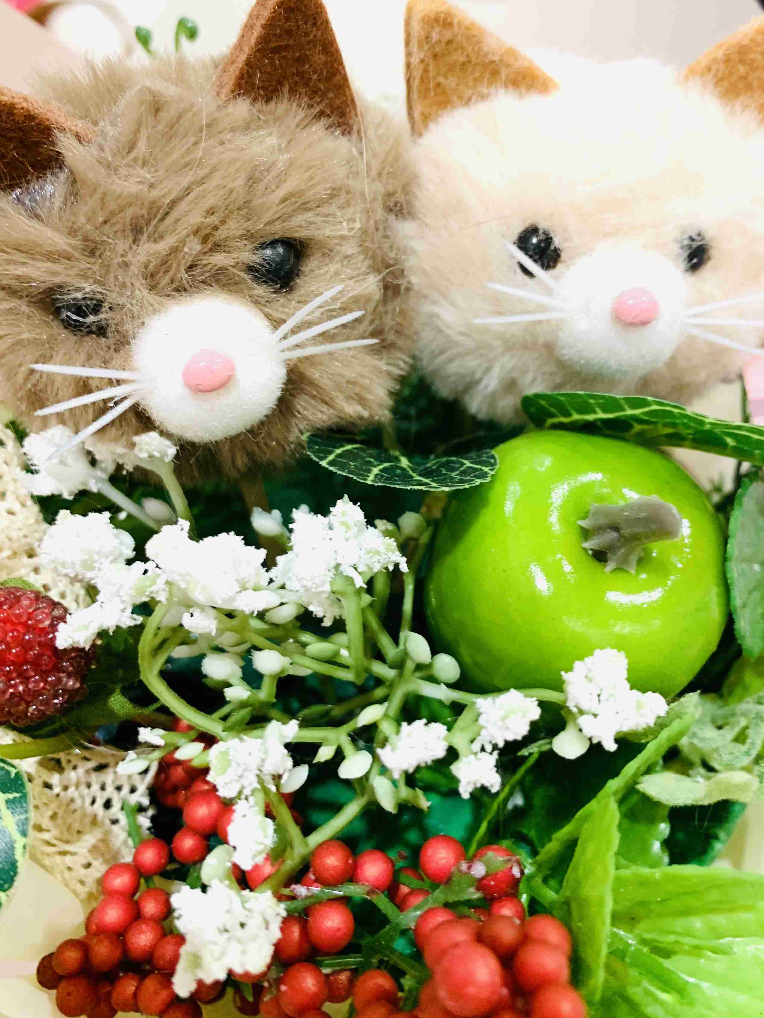 がるちゃん猫カフェ63号店 開店しました♪(初めての方も大歓迎!!)