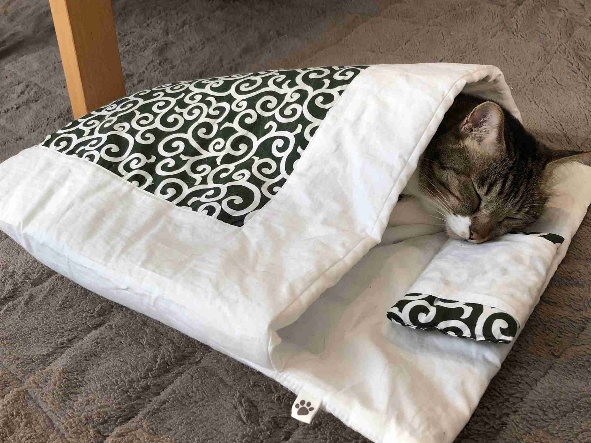 がるちゃん猫カフェ63号店 開店しました♪（初めての方も大歓迎!!）