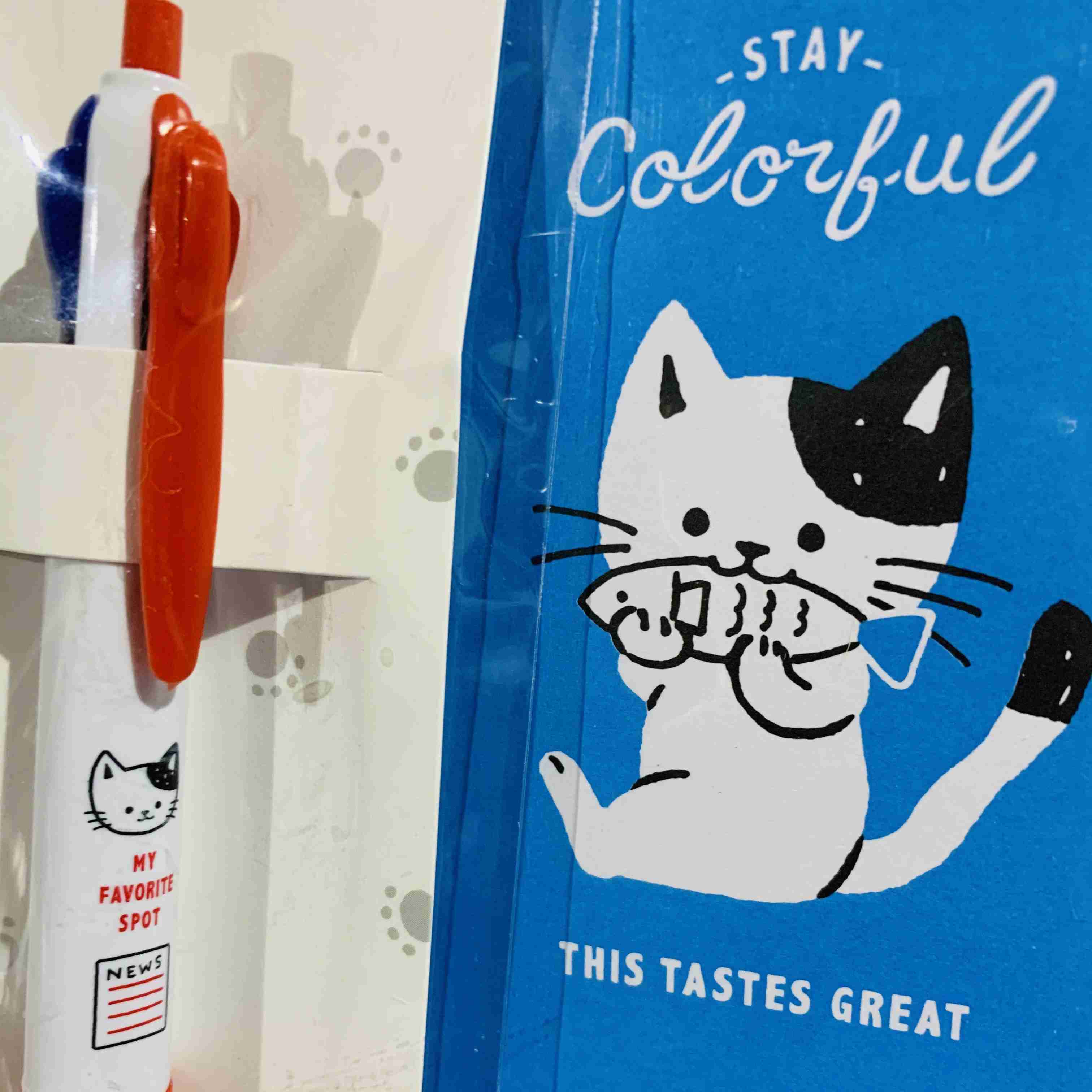 がるちゃん猫カフェ63号店 開店しました♪(初めての方も大歓迎!!)