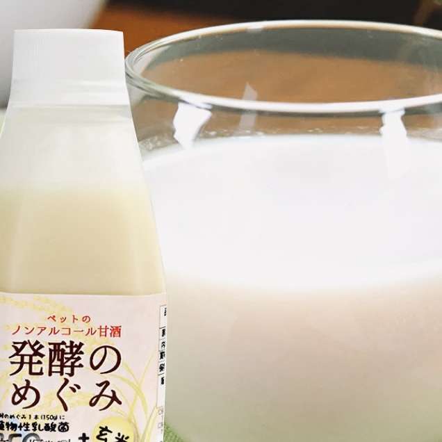 がるちゃん猫カフェ63号店 開店しました♪（初めての方も大歓迎!!）