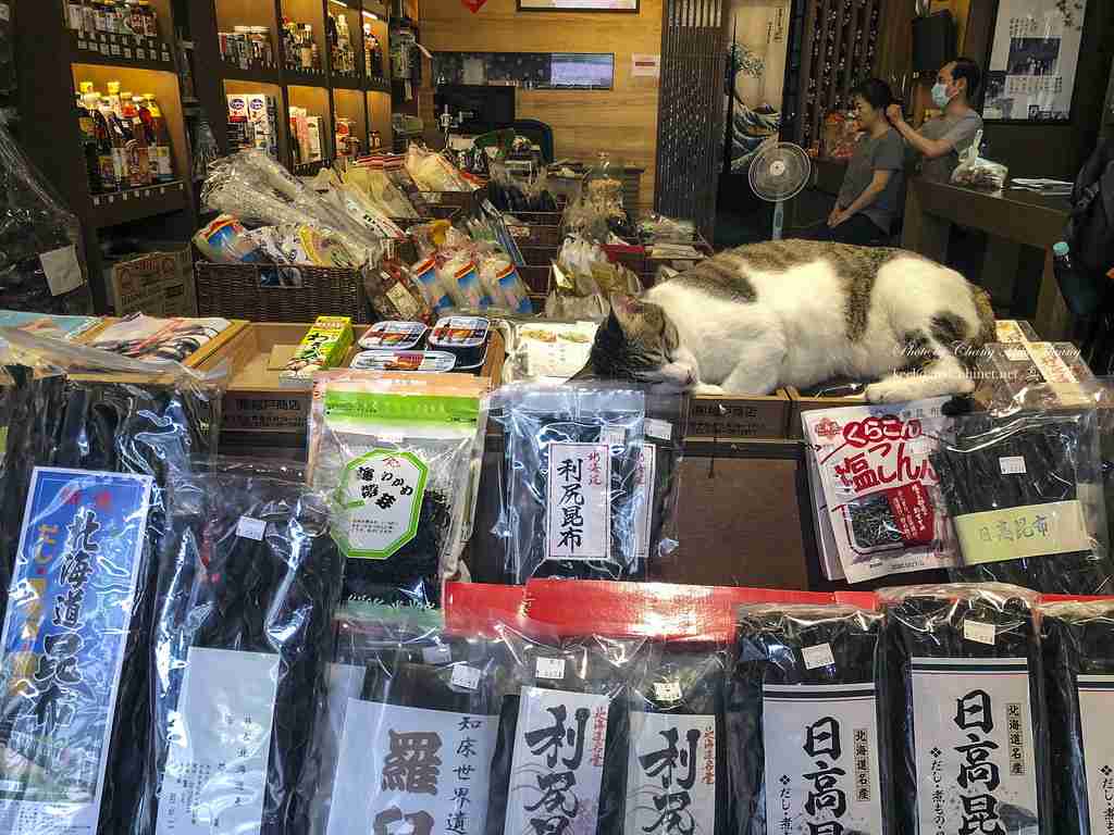 がるちゃん猫カフェ63号店 開店しました♪(初めての方も大歓迎!!)