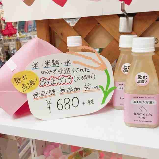 がるちゃん猫カフェ63号店 開店しました♪（初めての方も大歓迎!!）