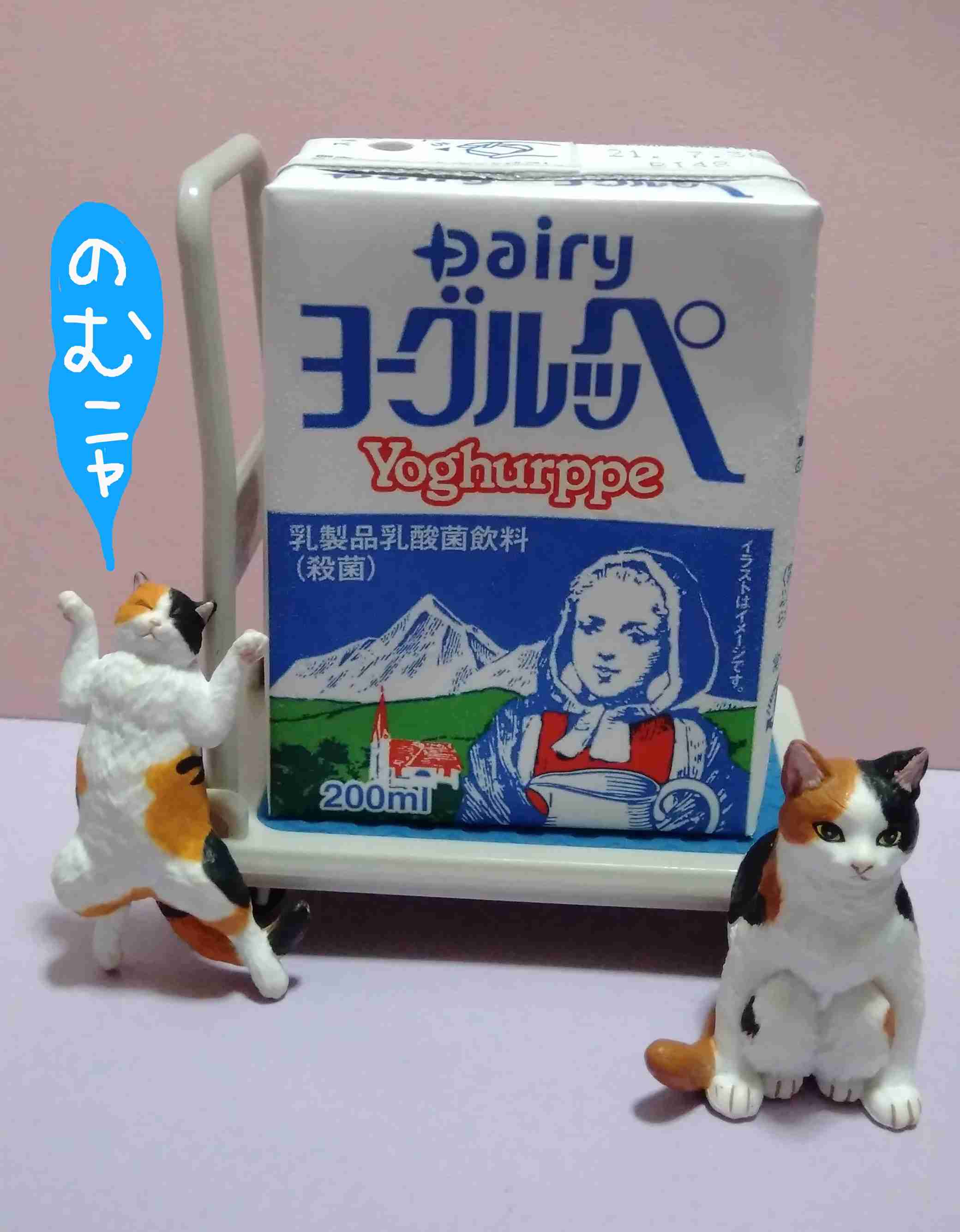 がるちゃん猫カフェ63号店 開店しました♪（初めての方も大歓迎!!）