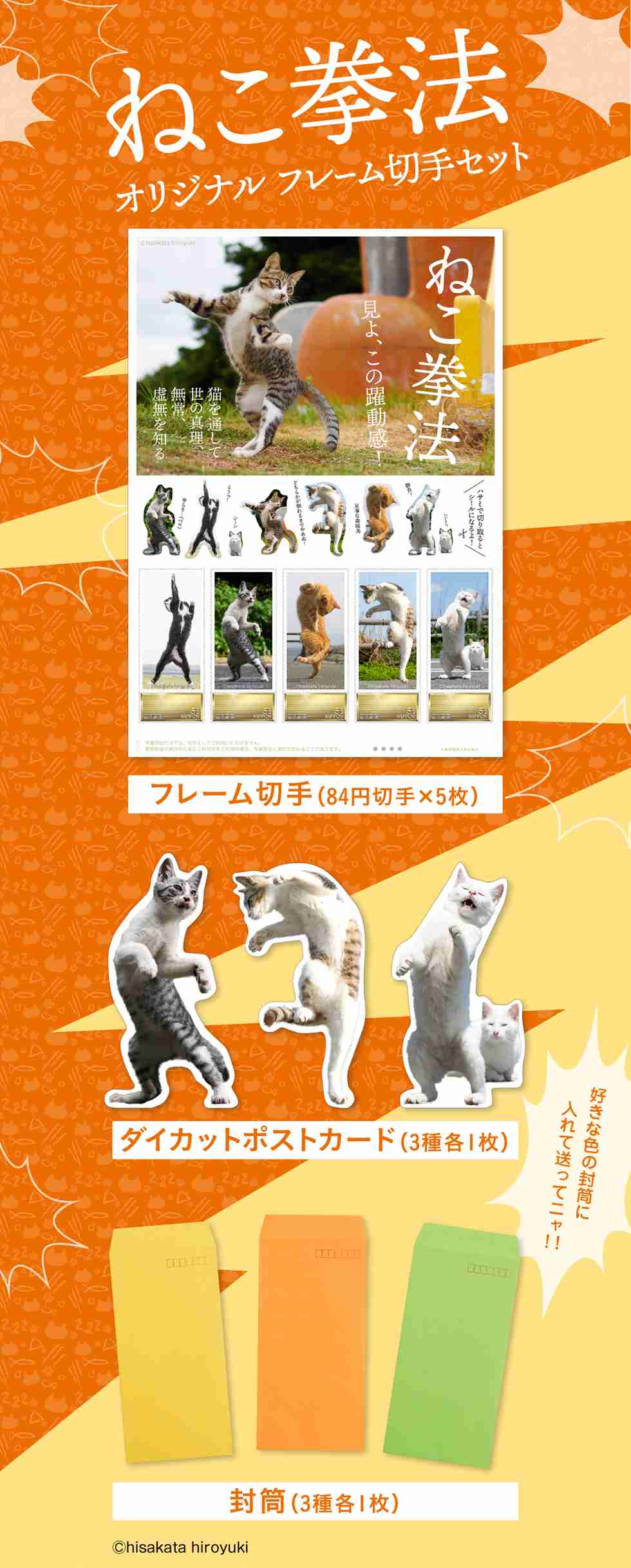 がるちゃん猫カフェ63号店 開店しました♪(初めての方も大歓迎!!)