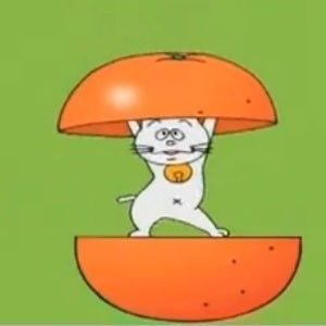 がるちゃん猫カフェ63号店 開店しました♪（初めての方も大歓迎!!）