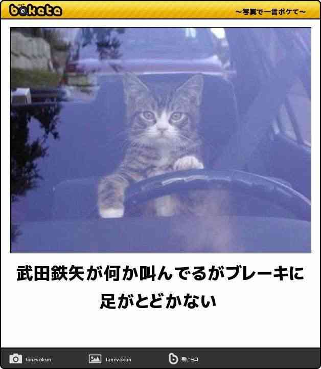 武田鉄矢の画像を貼って雑談するトピPart5
