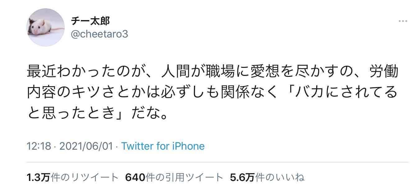 待遇の良い所か、やりたい仕事かを選ぶなら