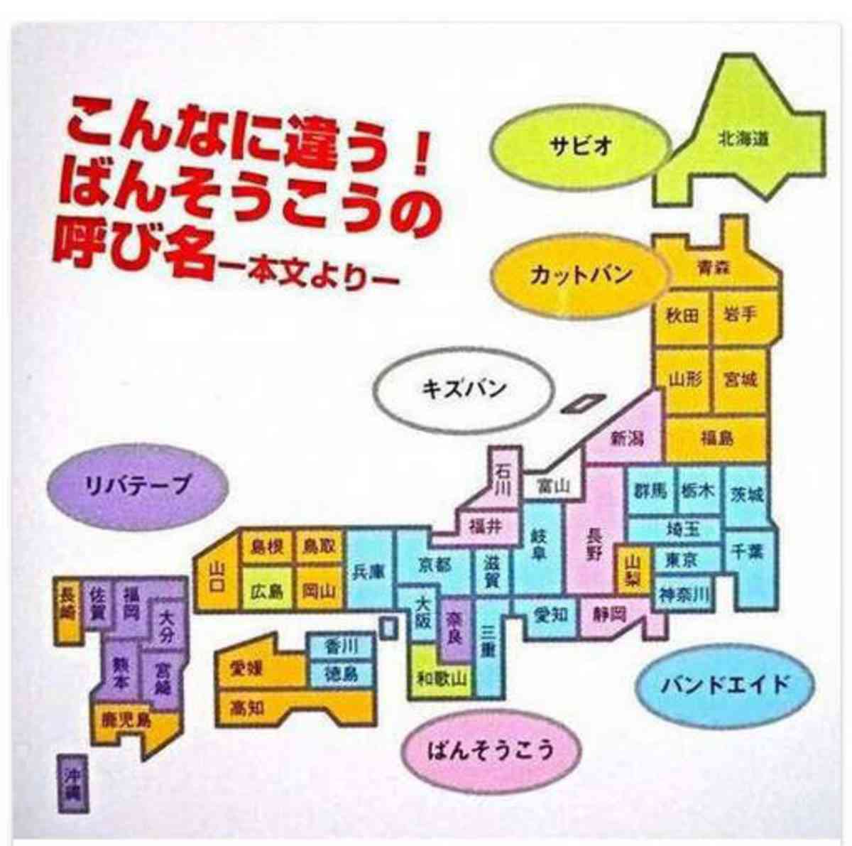 同じ日本なのに面白いなと思うこと