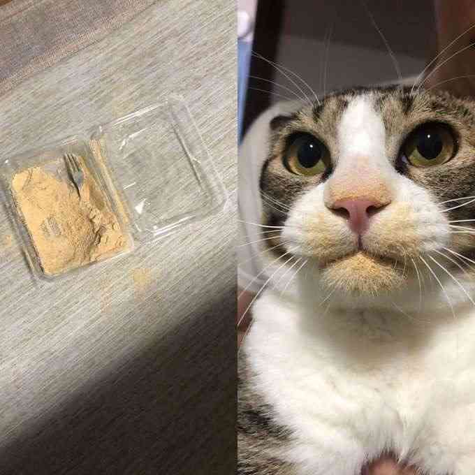 フォルダに保存してある画像で絶対に笑ってはいけないガルちゃん・2