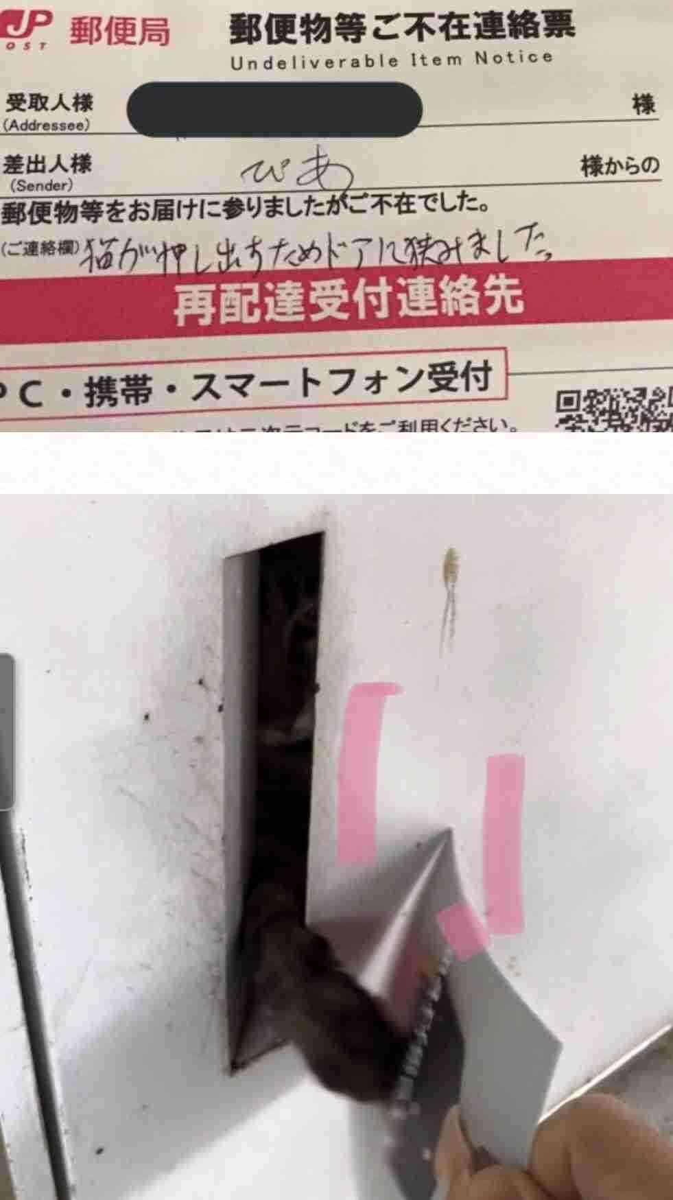 フォルダに保存してある画像で絶対に笑ってはいけないガルちゃん・2