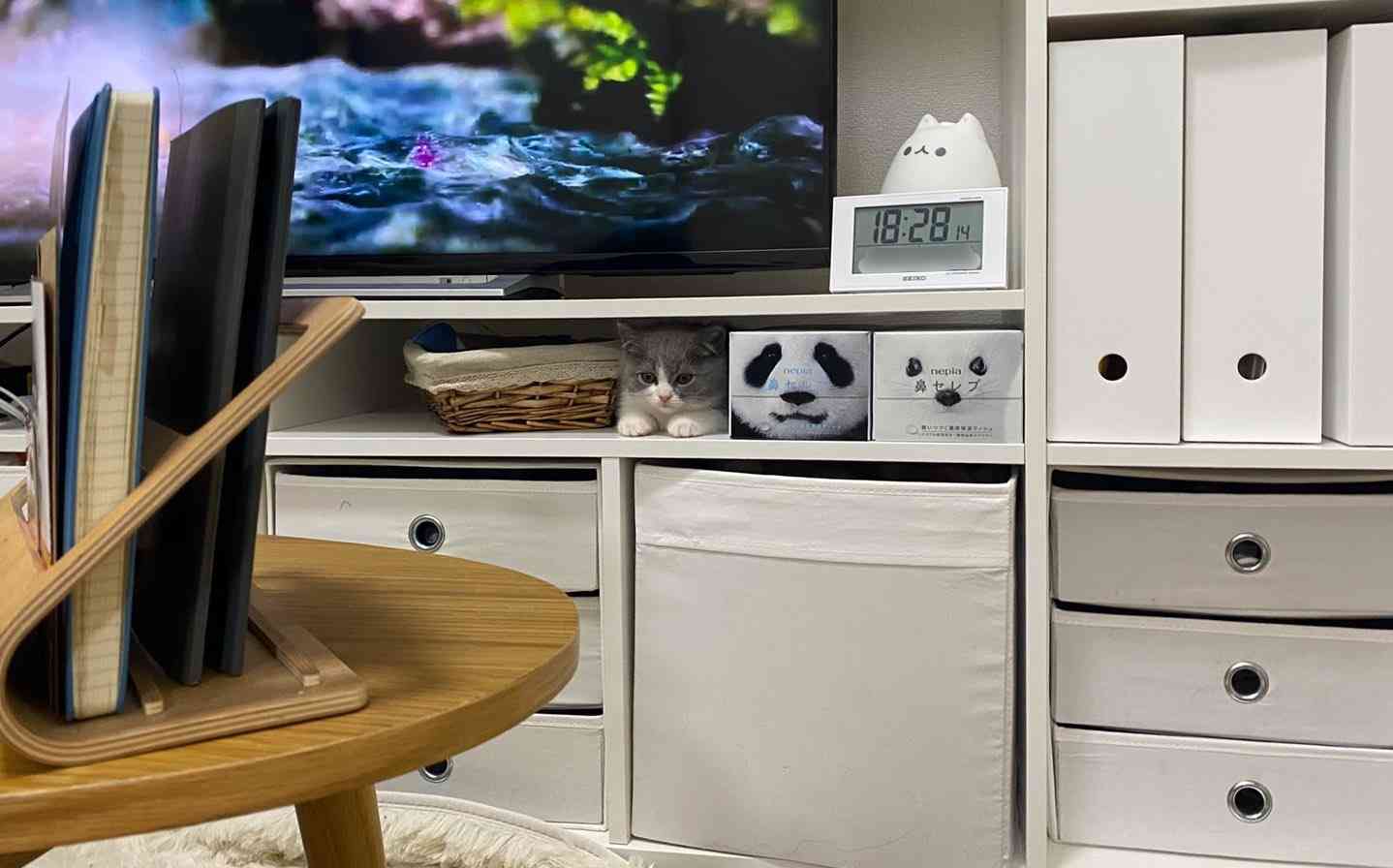 フォルダに保存してある画像で絶対に笑ってはいけないガルちゃん・2