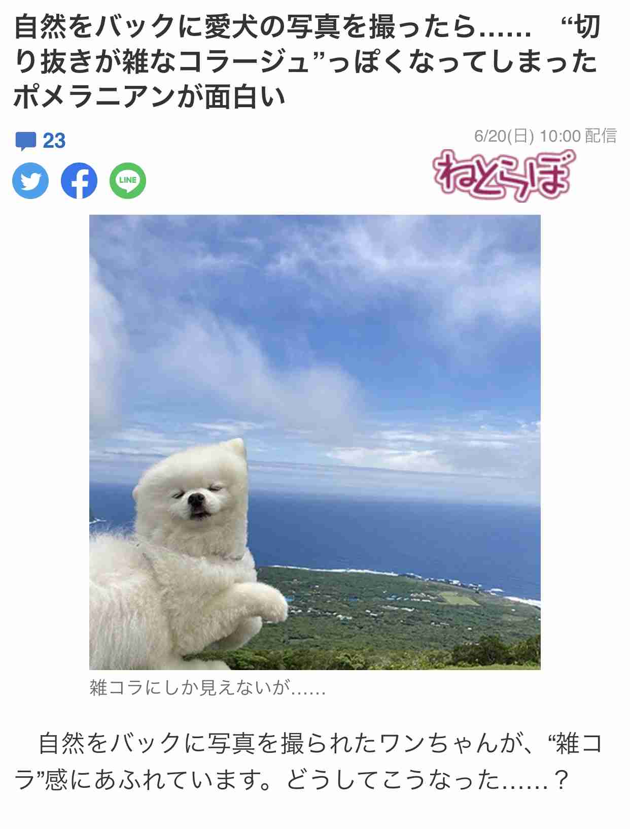 フォルダに保存してある画像で絶対に笑ってはいけないガルちゃん・2