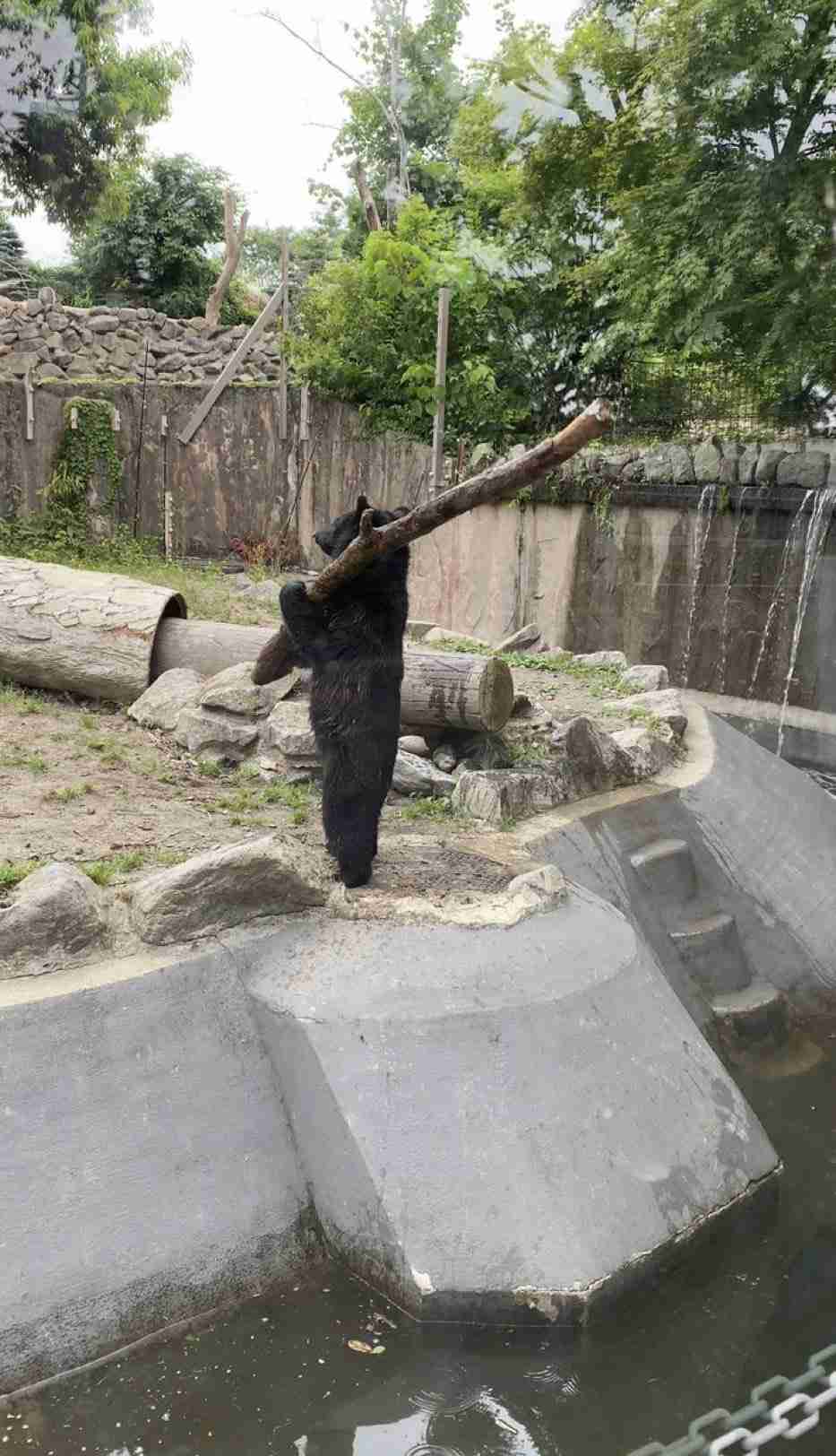 フォルダに保存してある画像で絶対に笑ってはいけないガルちゃん・2