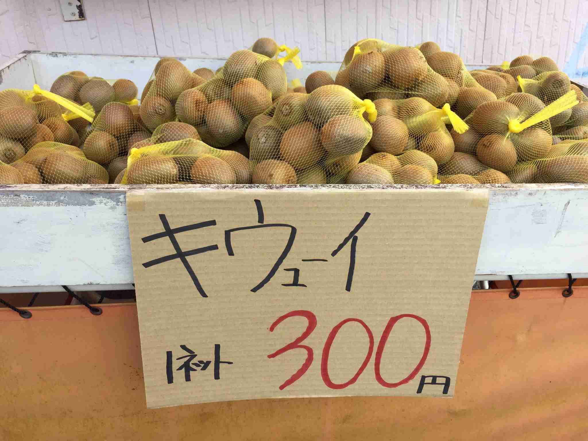 フォルダに保存してある画像で絶対に笑ってはいけないガルちゃん・2