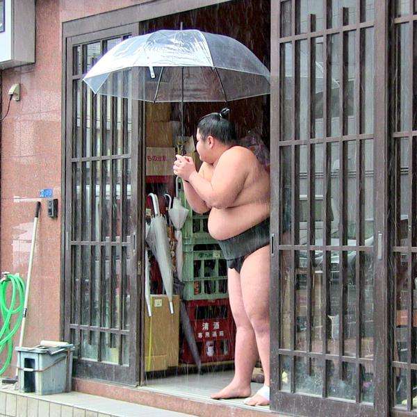 フォルダに保存してある画像で絶対に笑ってはいけないガルちゃん・2