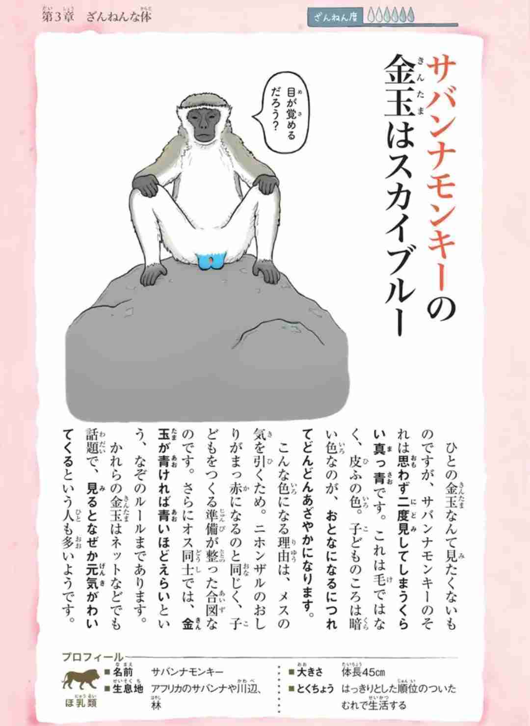 フォルダに保存してある画像で絶対に笑ってはいけないガルちゃん・2