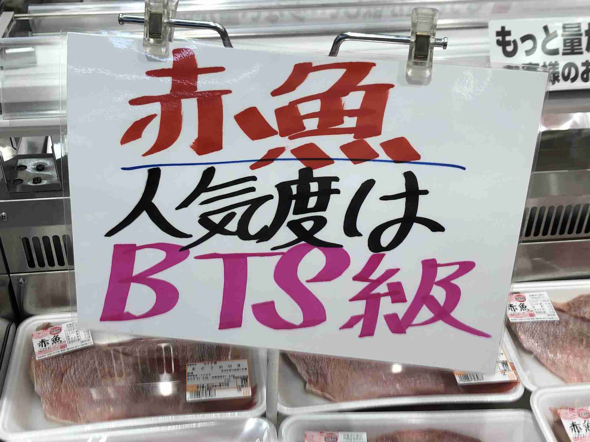 フォルダに保存してある画像で絶対に笑ってはいけないガルちゃん・2