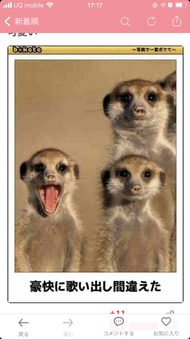 フォルダに保存してある画像で絶対に笑ってはいけないガルちゃん・2