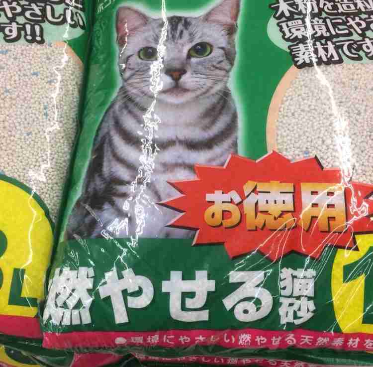 フォルダに保存してある画像で絶対に笑ってはいけないガルちゃん・2