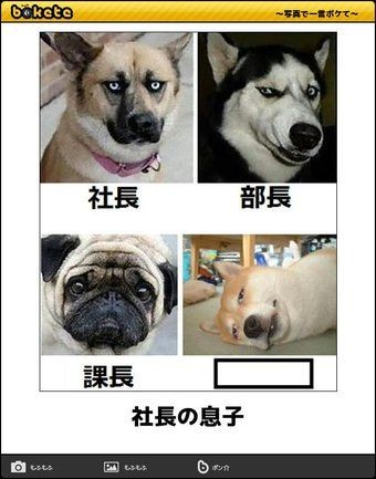 フォルダに保存してある画像で絶対に笑ってはいけないガルちゃん・2