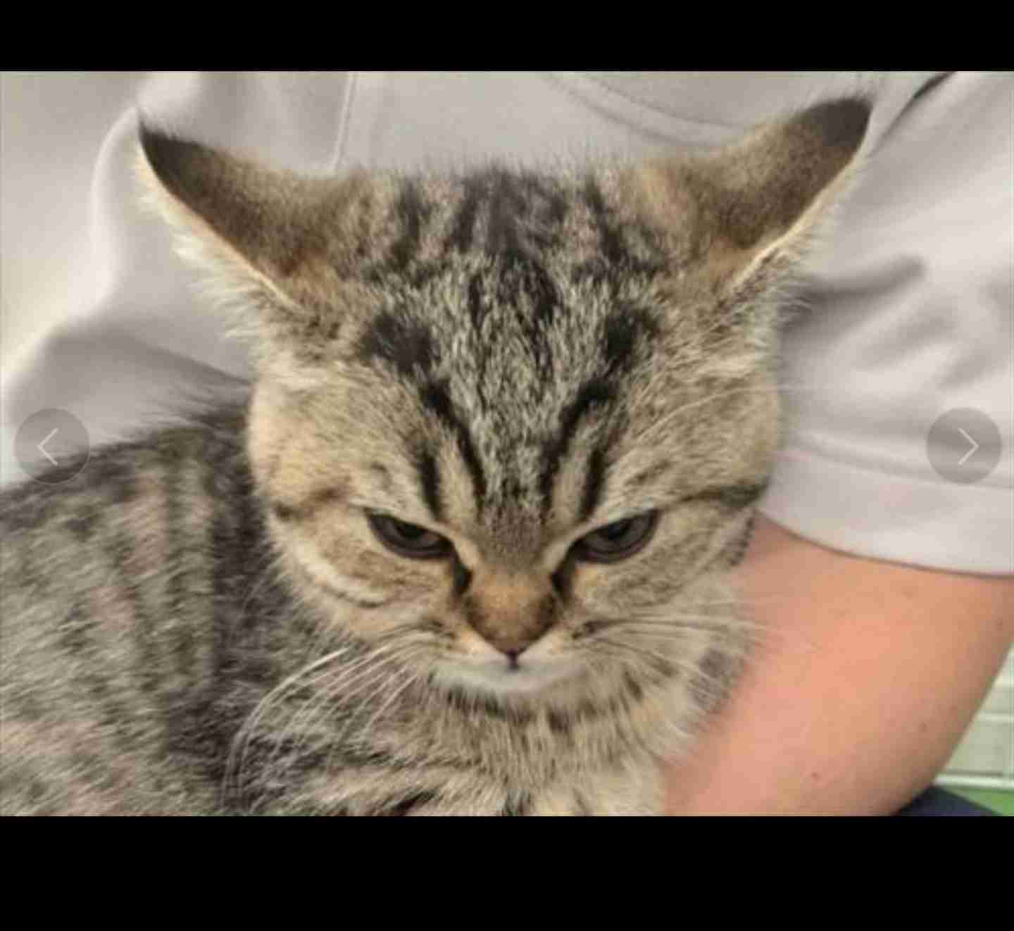 フォルダに保存してある画像で絶対に笑ってはいけないガルちゃん・2