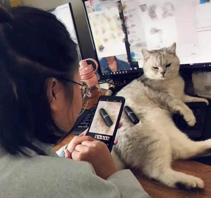 フォルダに保存してある画像で絶対に笑ってはいけないガルちゃん・2