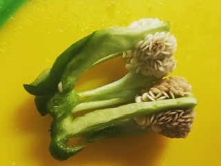 お料理豆知識【五・七・五】