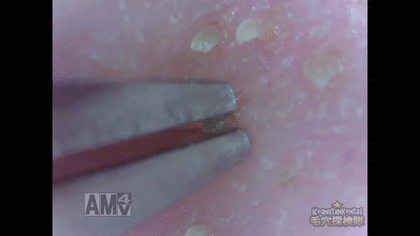 爽快な気分になれる瞬間