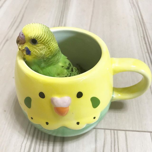最近キュンとした瞬間