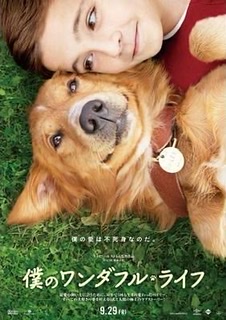かわいい映画・幸せな気分になる映画