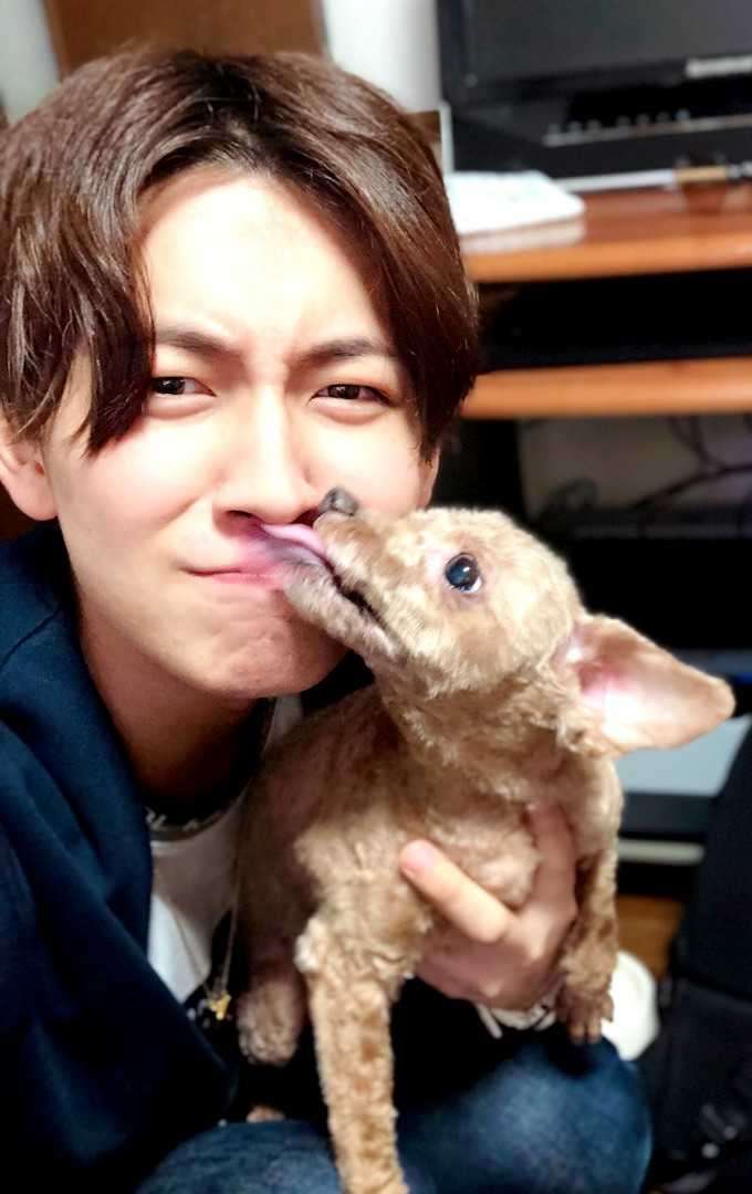 我が家の犬が一番!犬が大好きな方!