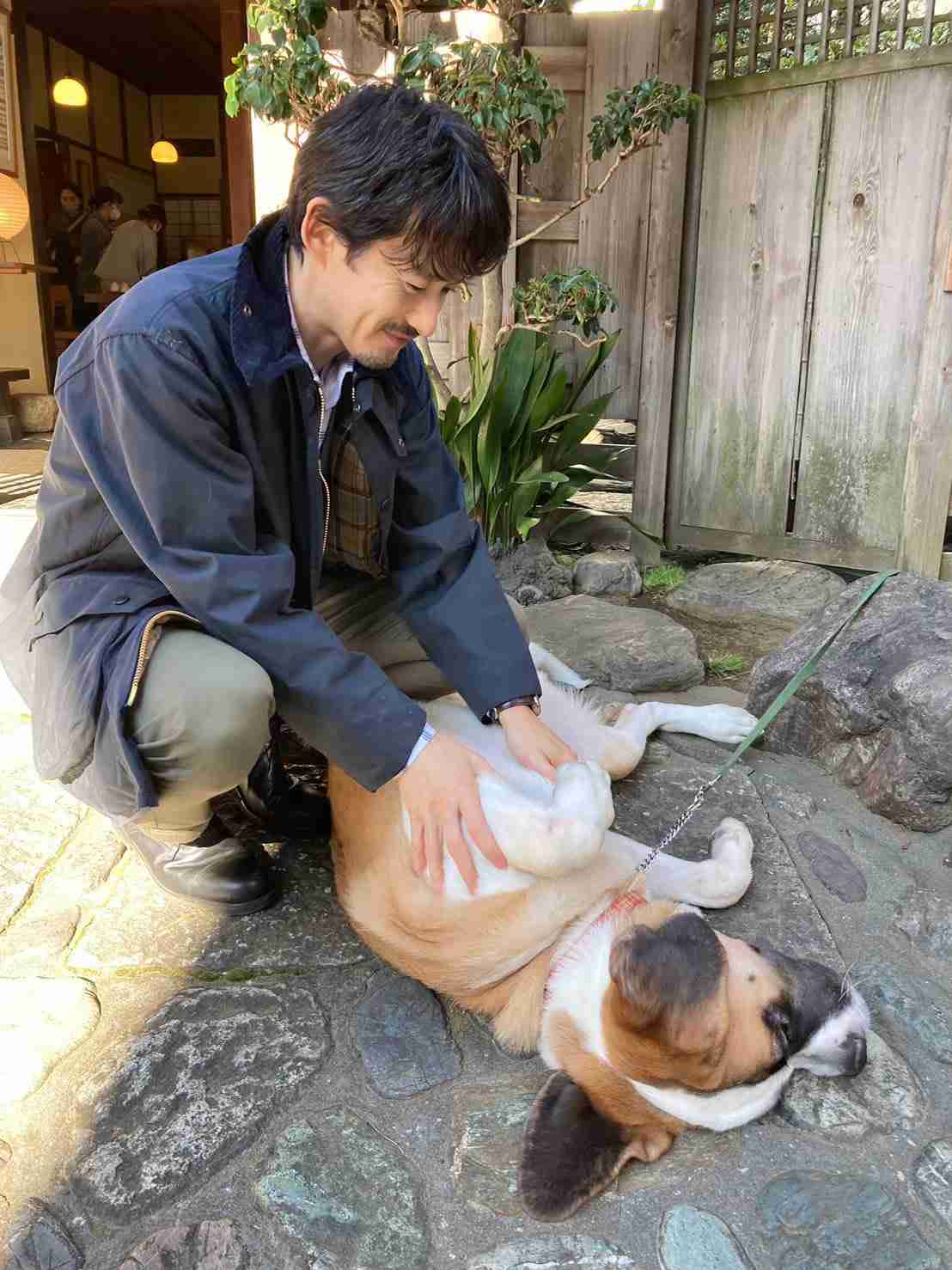 我が家の犬が一番!犬が大好きな方!