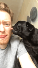 我が家の犬が一番!犬が大好きな方!