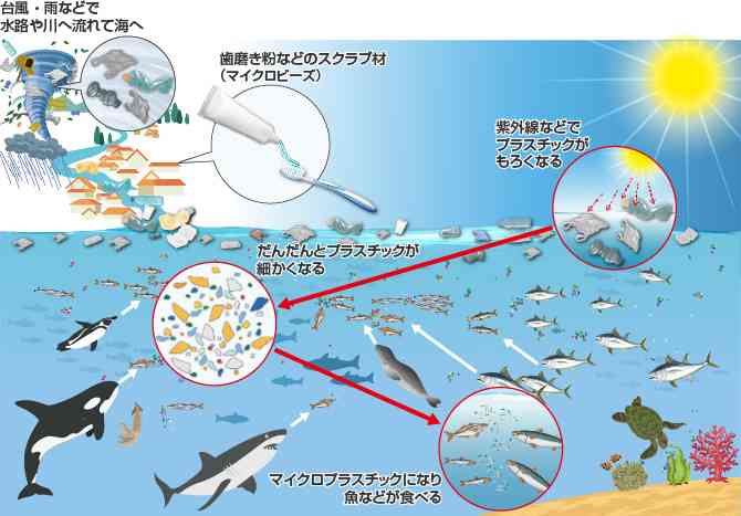 プラごみの削減へ新法成立 使い捨てスプーンも有料化?
