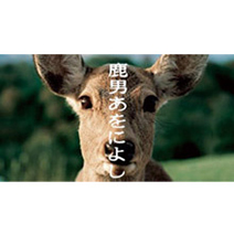 低視聴率だったけど面白かったドラマpart3