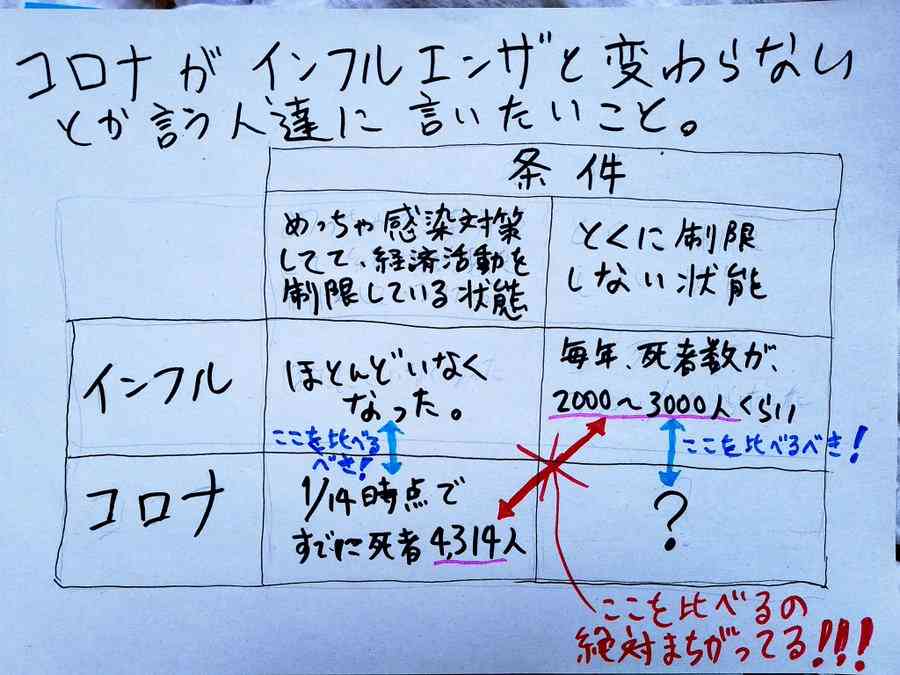 インフルエンザ大流行、専門家が危惧　次期シーズンは「史上最悪」の見方も