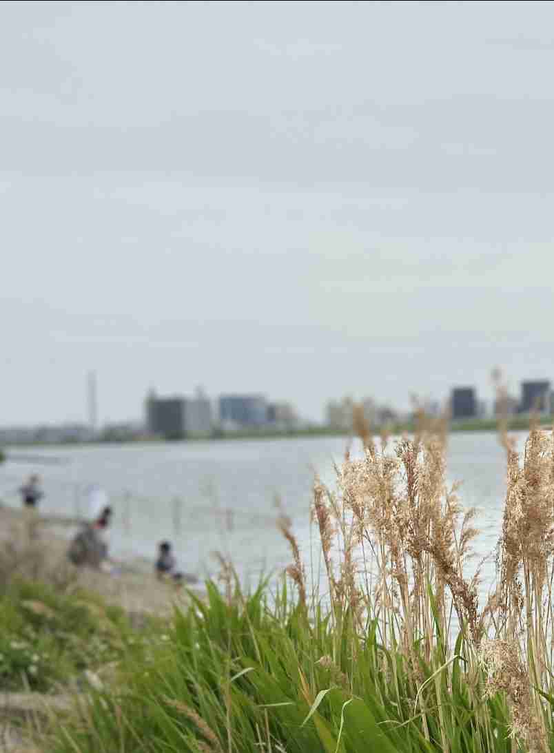 東京・荒川で少年死亡 友人ら数人と飲食か