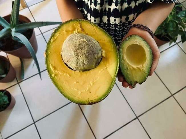 同じ値段で買っても、当たり外れがよくある食べ物